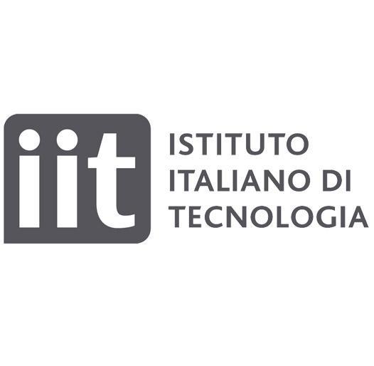 IIT