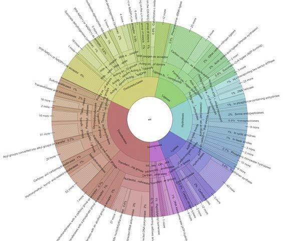 IL DNA E IL SUO RUOLO NELLA DETERMINAZIONE DELLE CARATTERISTICHE DEGLI ORGANISMI VIVENTI