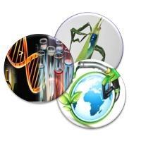 Biotecnologie applicate allo studio di piante e microrganismi di interesse energetico, agroindustriale e per la Chimica Verde”
