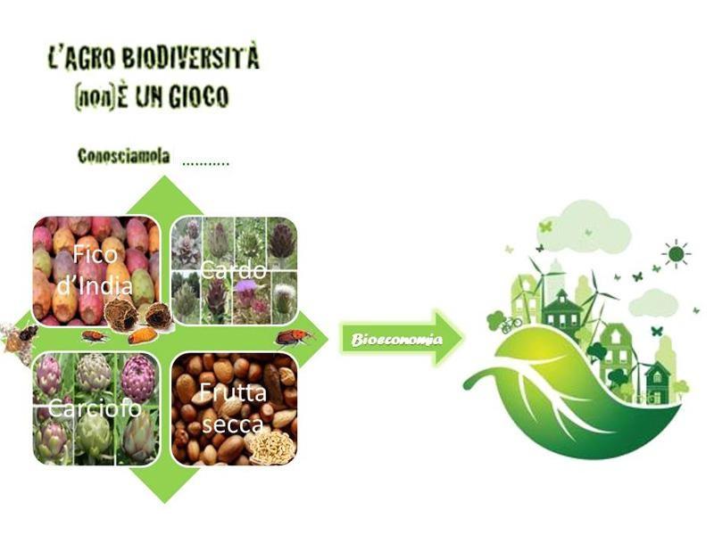 L’USO SOSTENIBILE DELL’AGROBIODIVERSITA’: QUANDO LO SPRECO NON Ѐ ‘DI MODA’