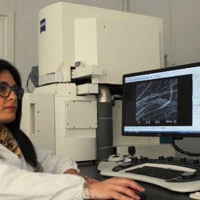 Laboratorio Microscopio Elettronico a Scansione ad Emissione di Campo 