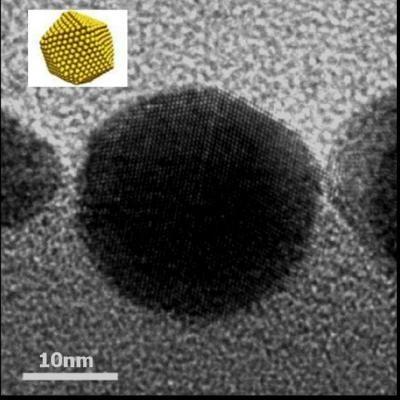 Nanoparticella di oro osservata al TEM