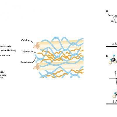 Applicazione: analisi diffrattometriche su fibre di canapa